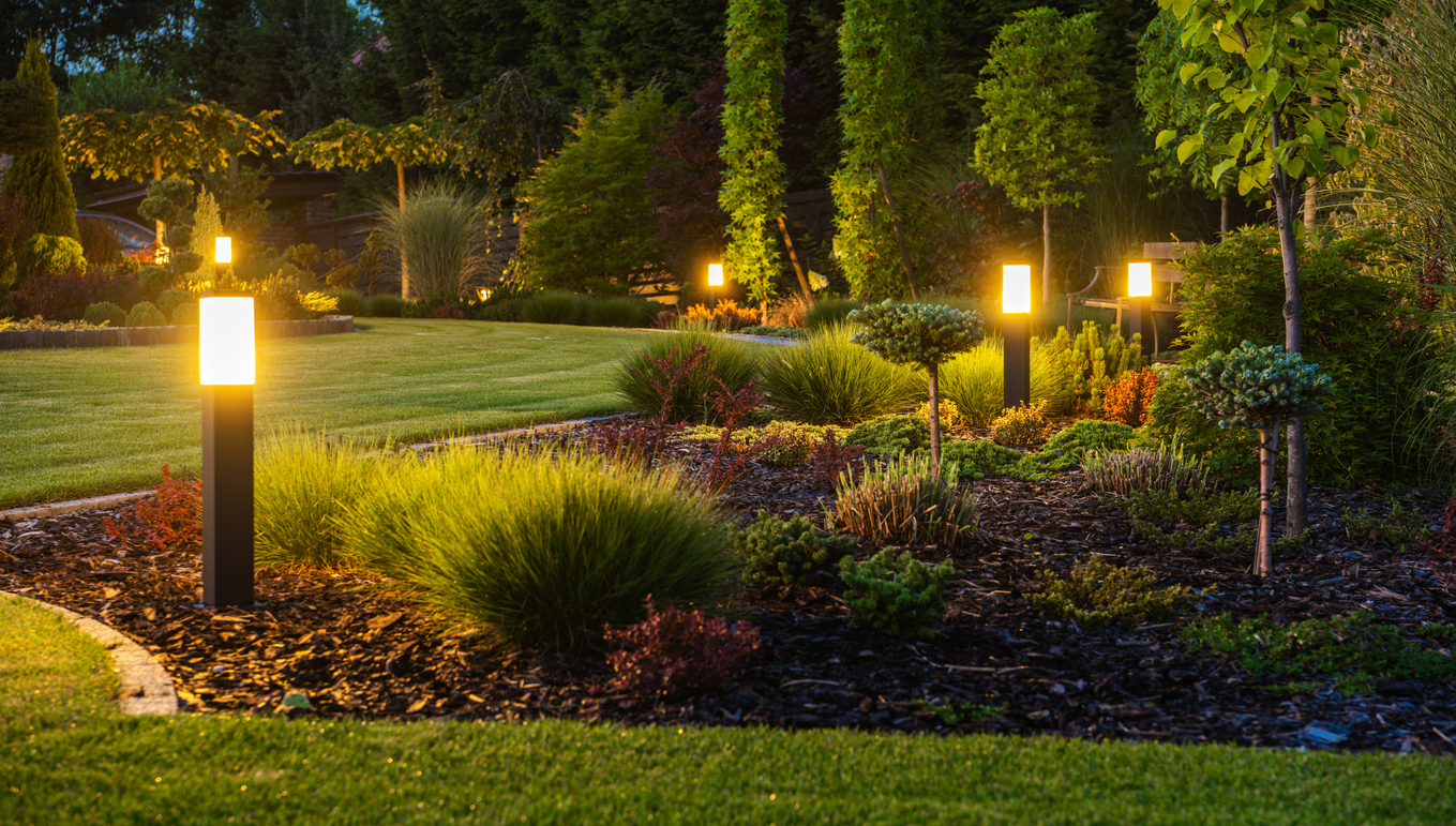 Backyard lit by outdoor lighting